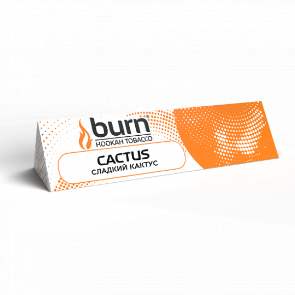 Табак BURN CACTUS 25 грамм в Якутске