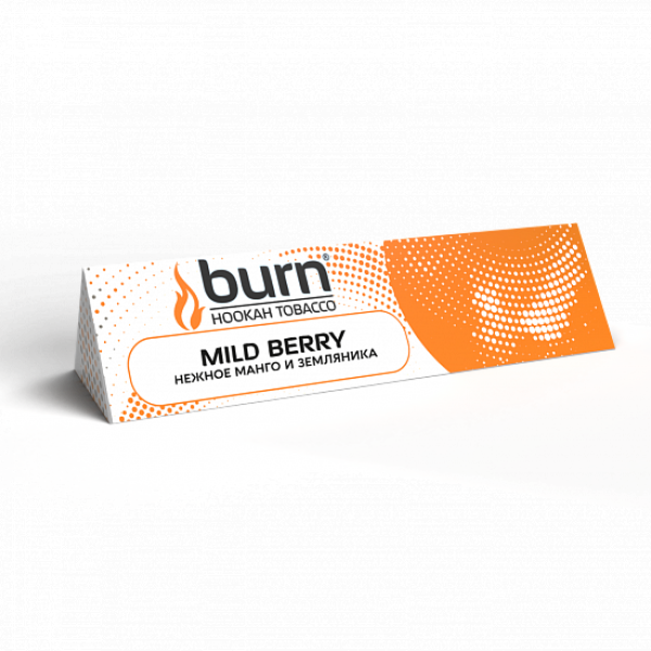 Табак BURN MILD BERRY 25 грамм в Якутске
