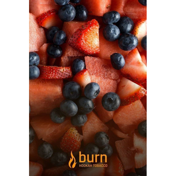 Табак Burn Berried Treasure 100 грамм в Якутске