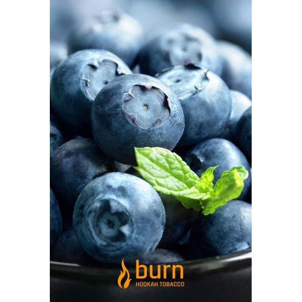 Табак Burn Blueberry Mint 100 грамм в Якутске