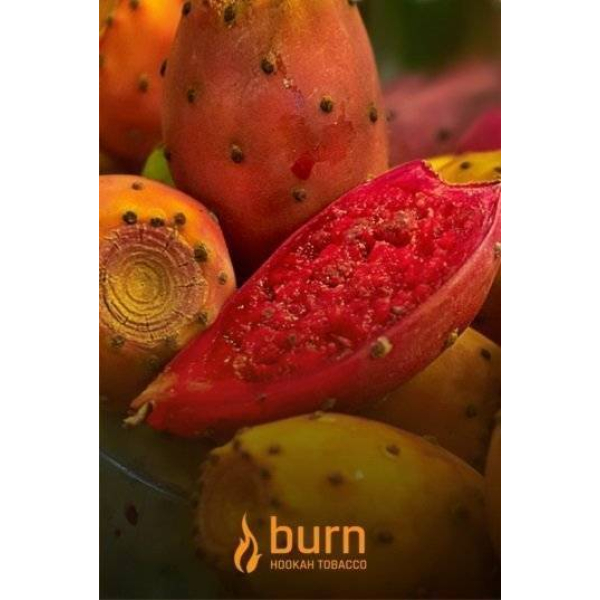 Табак Burn Cactus 100 грамм в Якутске