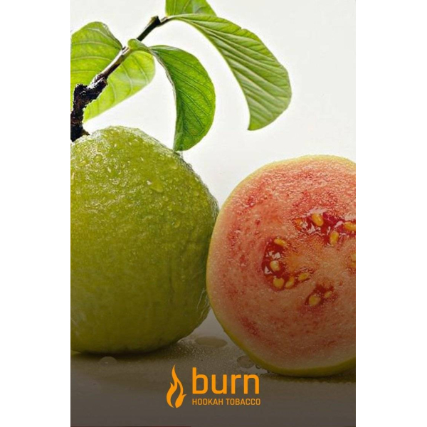 Табак Burn Guava 100 грамм в Якутске