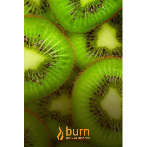Табак Burn Kiwi 100 грамм в Якутске