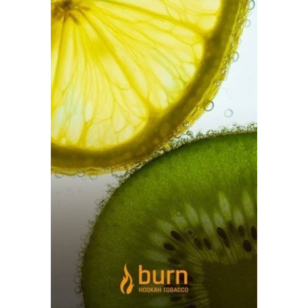 Табак Burn Kiwi Lemon 100 грамм в Якутске