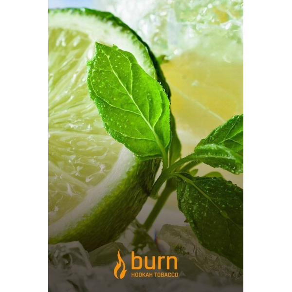 Табак Burn Lemon Mint 100 грамм в Якутске