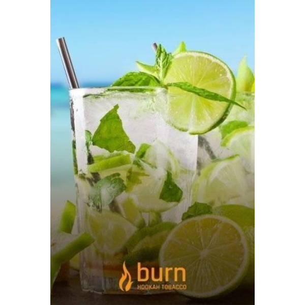 Табак Burn Mojito 100 грамм в Якутске