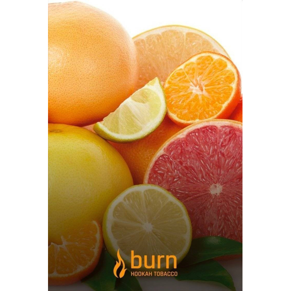 Табак Burn SundaySun 100 грамм в Якутске