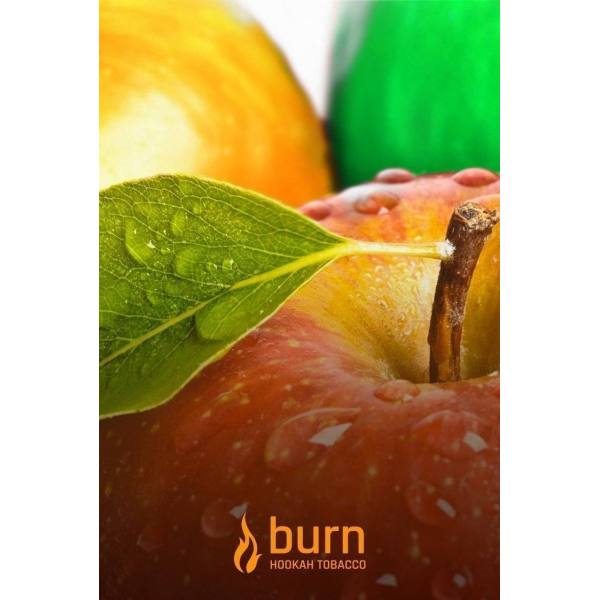 Табак Burn Three Apples 100 грамм в Якутске