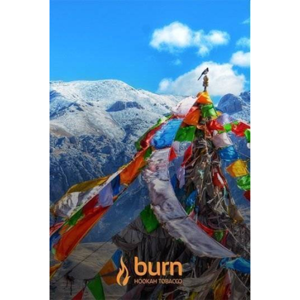 Табак Burn Tibet 100 грамм в Якутске