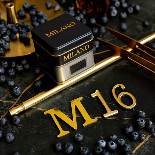 Табак MILANO GOLD М16 BILBERRY 100 гр в Якутске
