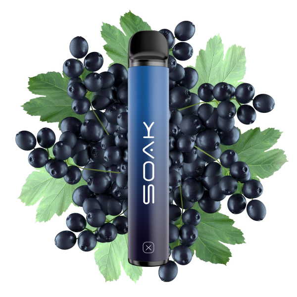 SOAK X Forest Blackcurrant (Лесная черная смородина), 1500 тяг в Якутске