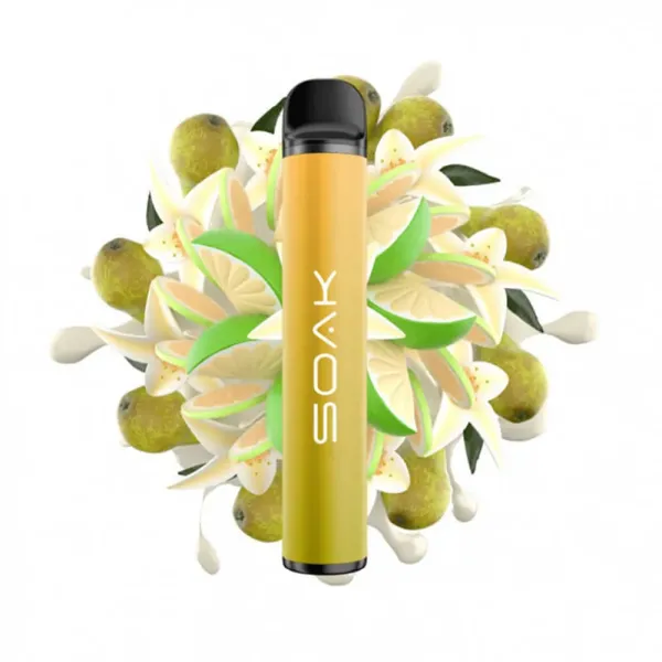 SOAK X Vanilla Pear (Ванильная груша с лаймом), 1500 тяг в Якутске