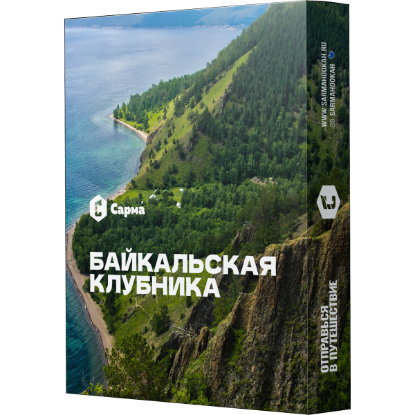 Табак Сарма Байкальская Клубника 25 гр в Якутске