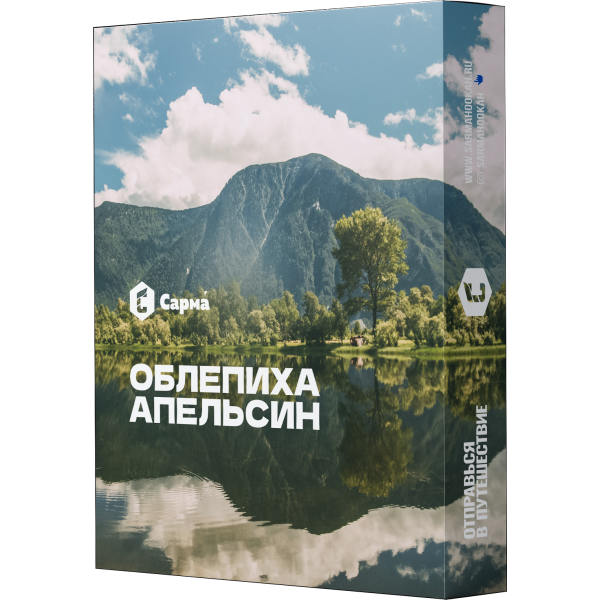 Табак Сарма Облепиха Апельсин 25 гр в Якутске