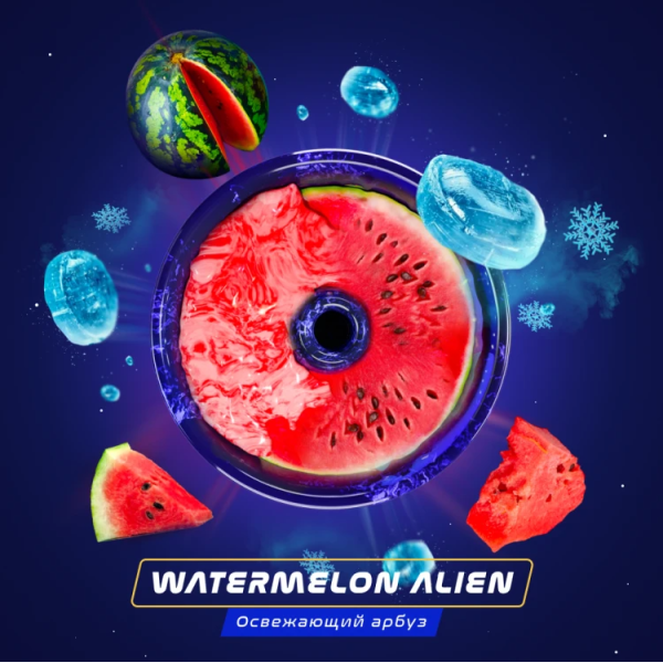 Паста Space Smoke BASIC Watermelon  Alien (Арбуз с  холодком) 125 гр в Якутске
