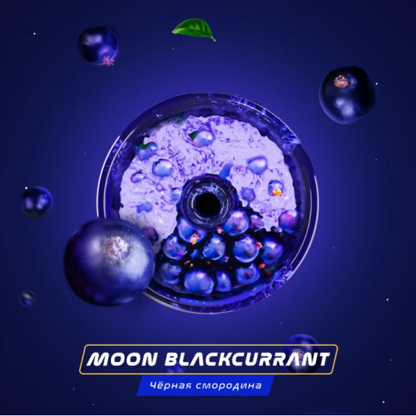 Паста Space Smoke BASIC Moon  Blackcurrant (Черная  смородина) 30 гр в Якутске