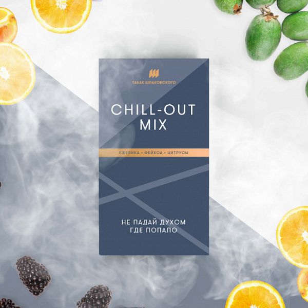 Табак Шпаковского Chill Out (Ежевика Фейхоа Цитрусы) 40 грамм в Якутске