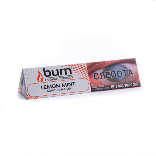 Табак Burn Lemon Mint  25 грамм в Якутске